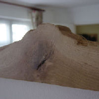 Art of Wood