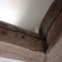 Art of Wood
